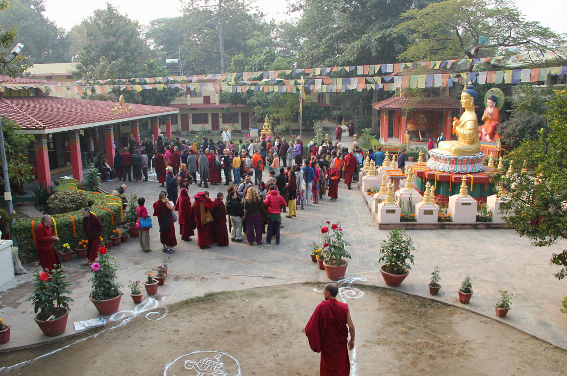 Root Institute main square