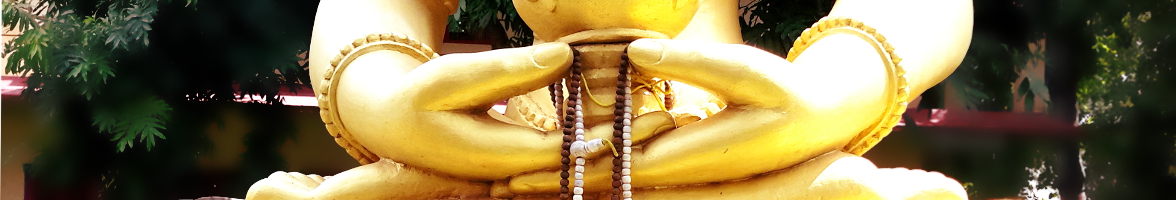 Hands of Amitayus in meditation posture